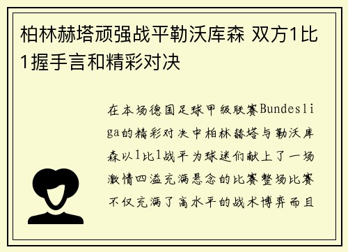 柏林赫塔顽强战平勒沃库森 双方1比1握手言和精彩对决